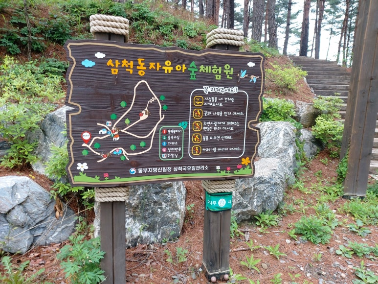 삼척동자 유아숲체험원 이미지