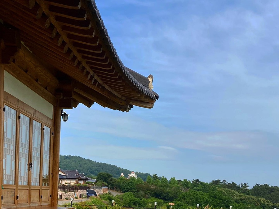 아라실 이미지