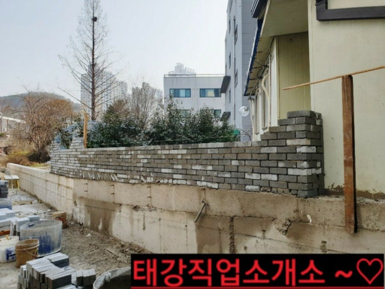 칼라직업소개소 이미지