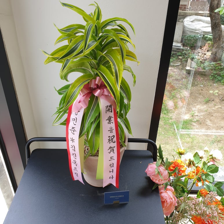 우니코앤우니카 이미지