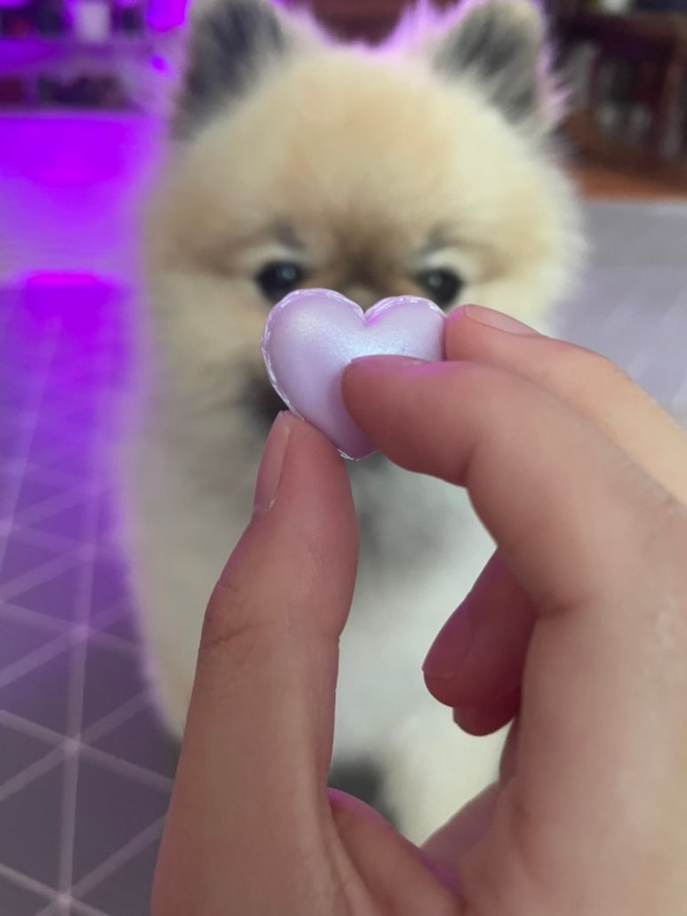 시장신발 이미지