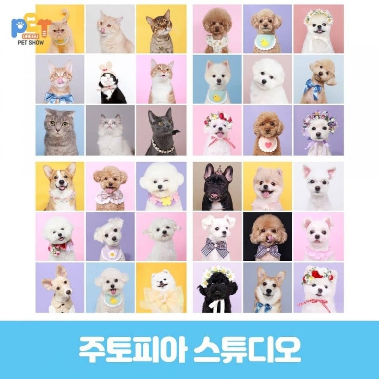 주토피아스튜디오 이미지