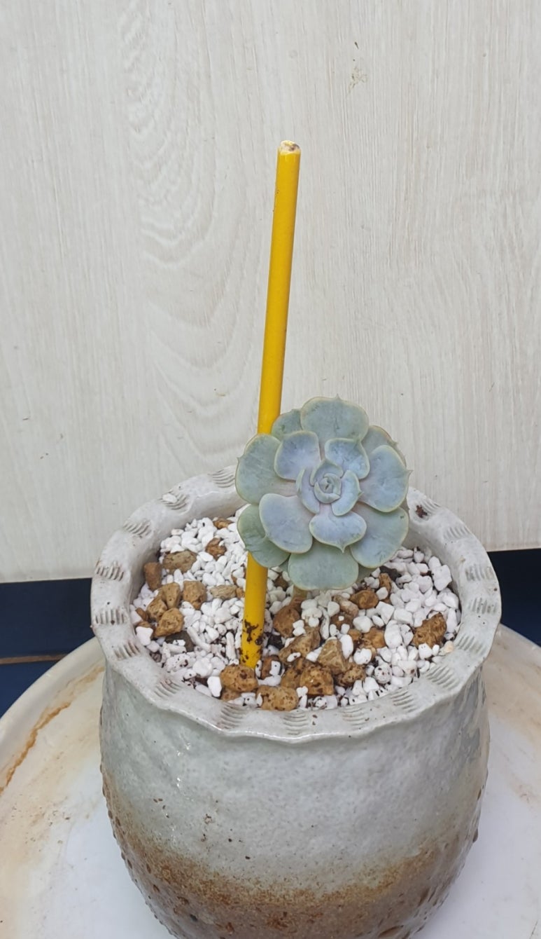 예쁨미장원 이미지