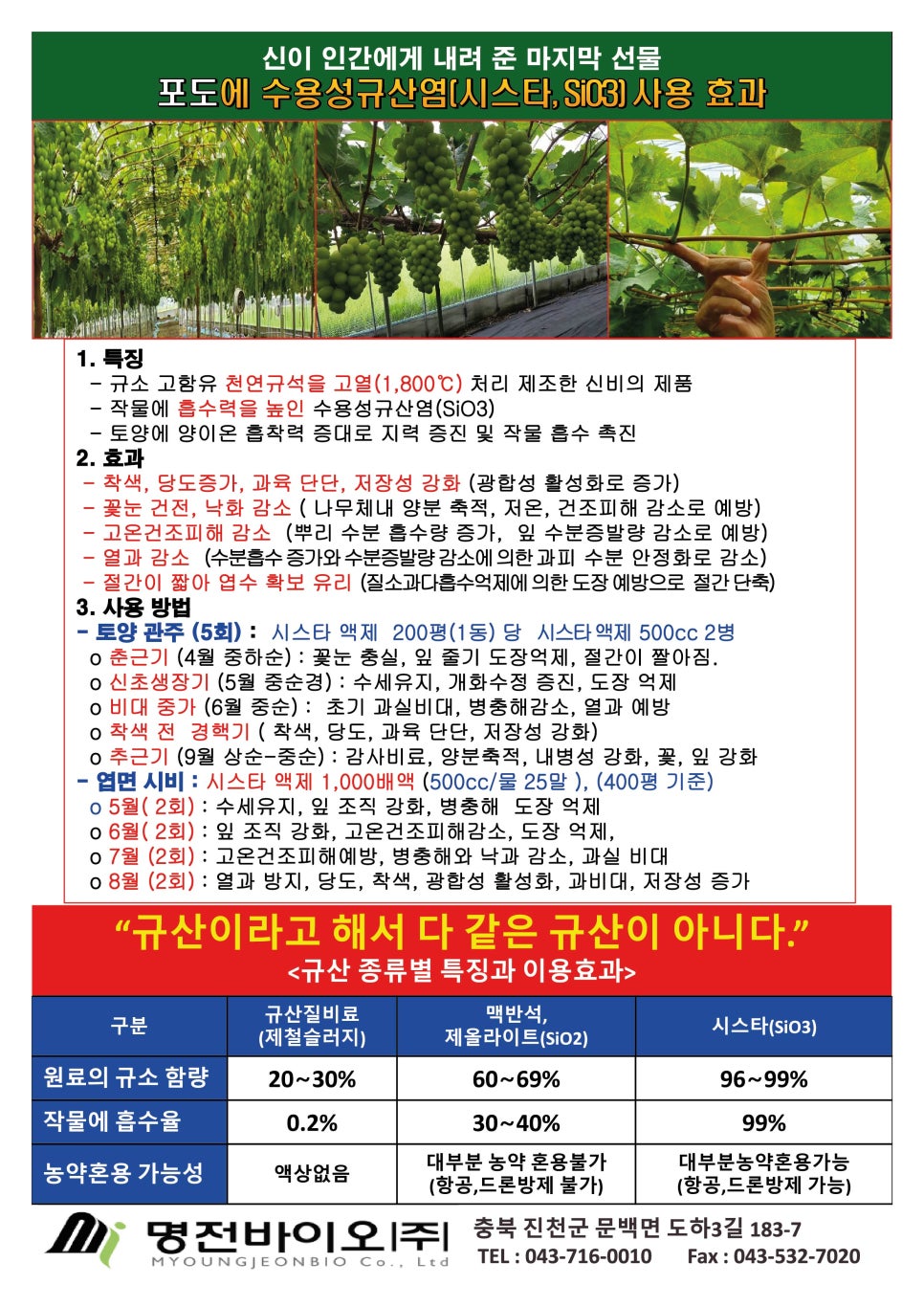 달시스타일 이미지