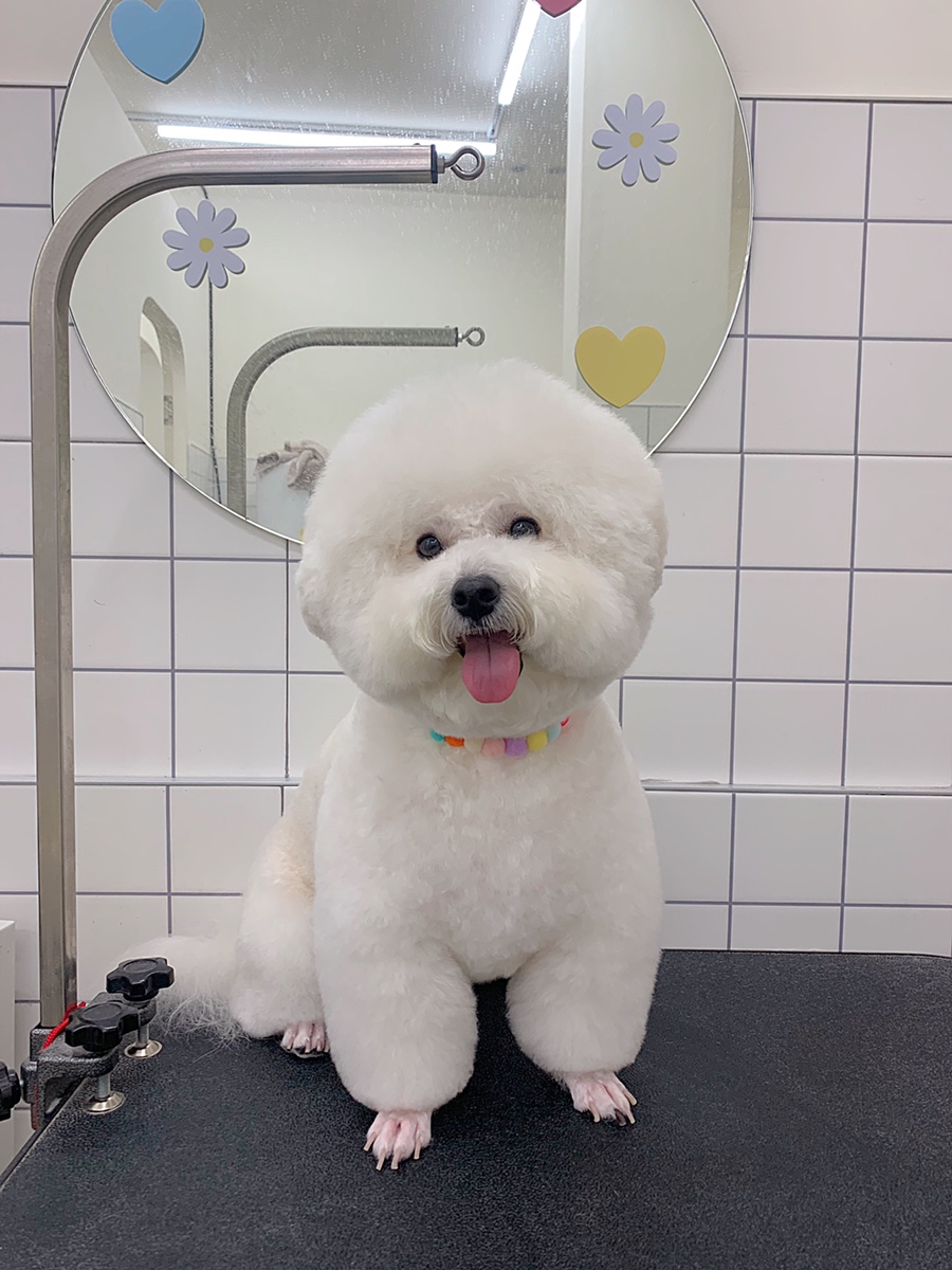 위드스테이부산 이미지