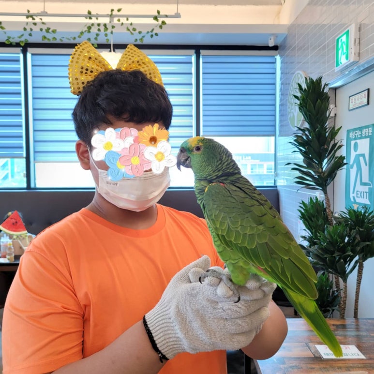 카페오늘 이미지
