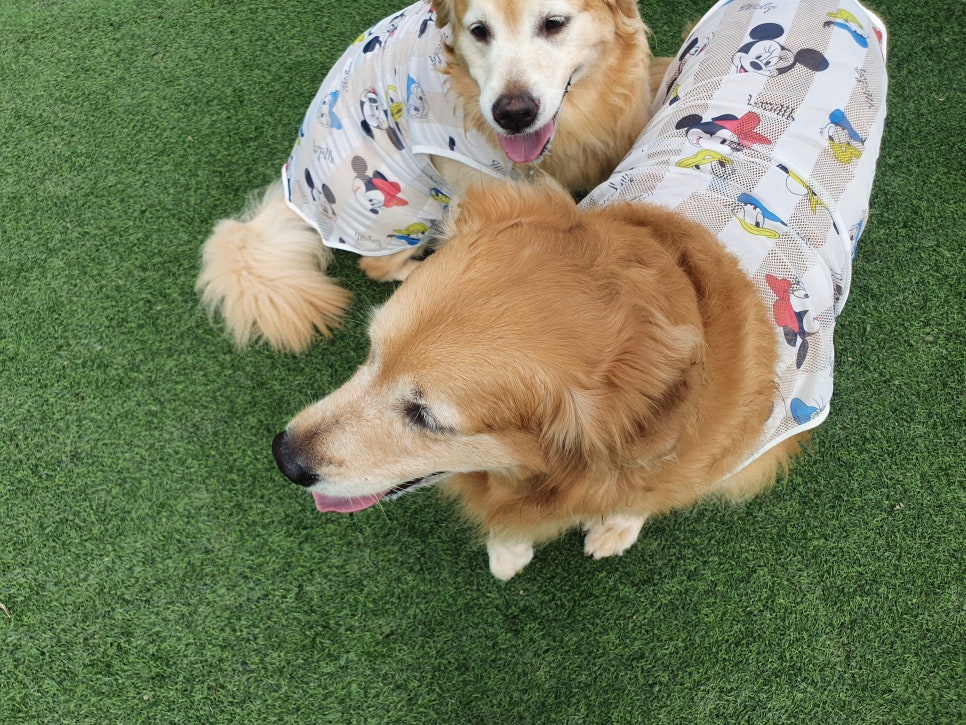 (유)다온 이미지
