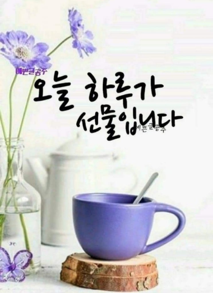 송정크리닝 이미지
