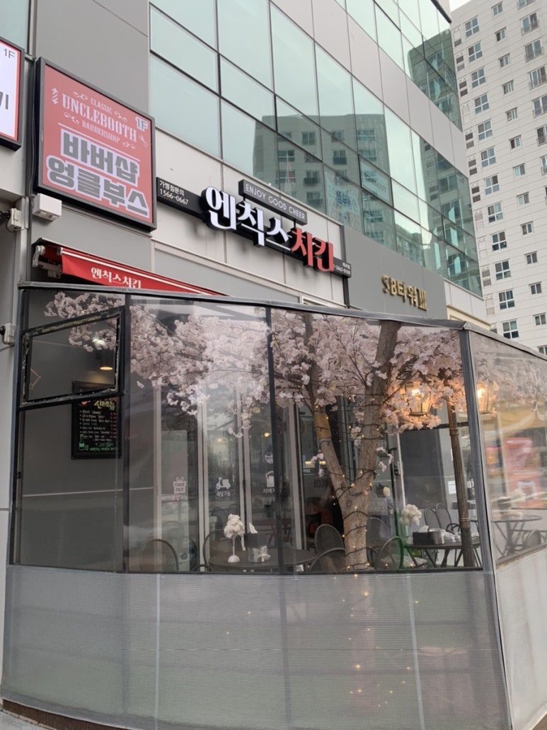 엔칙스 마곡점 이미지