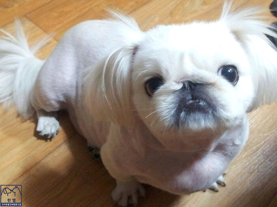 경산장례협동조합 이미지