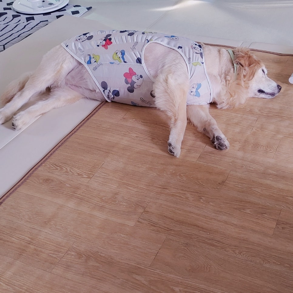 (유)다온 이미지