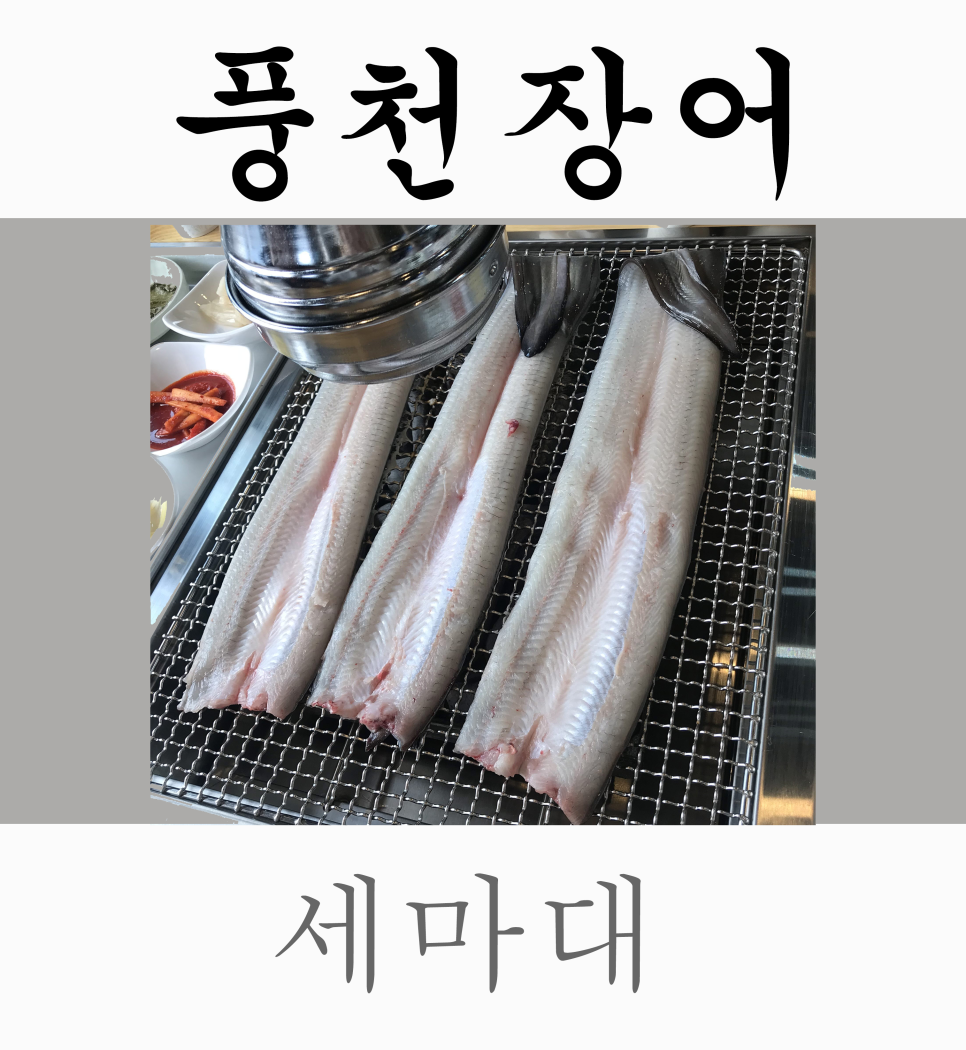 세마대풍천장어 이미지