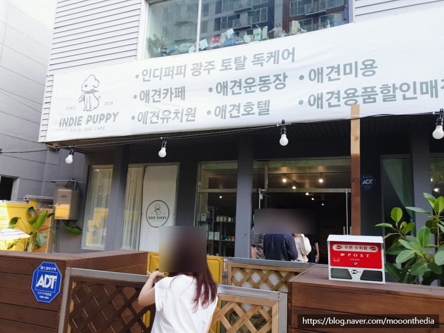 인디퍼피 이미지