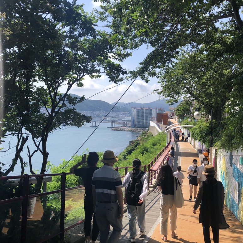 아미서가 이미지