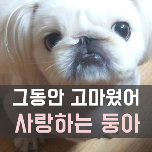 경산장례협동조합 이미지