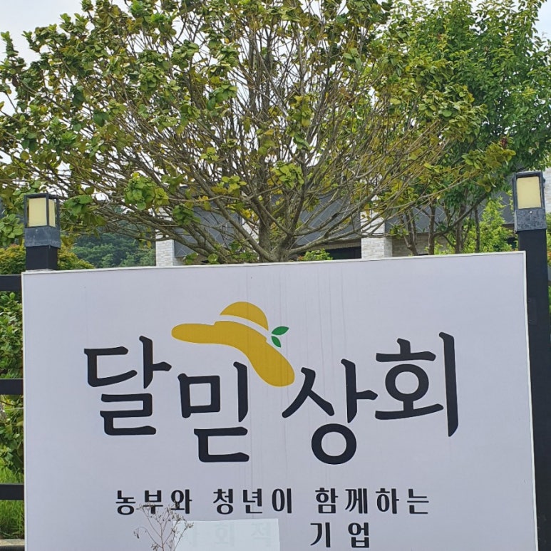 토브식품 이미지