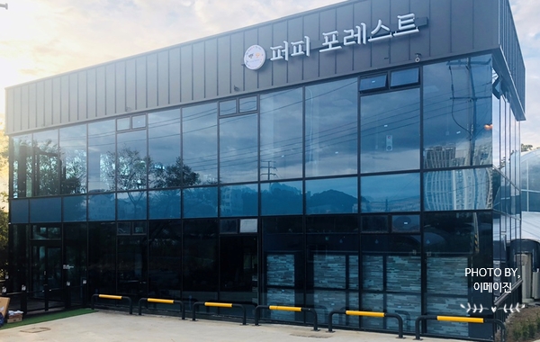 퍼피포레스트 이미지