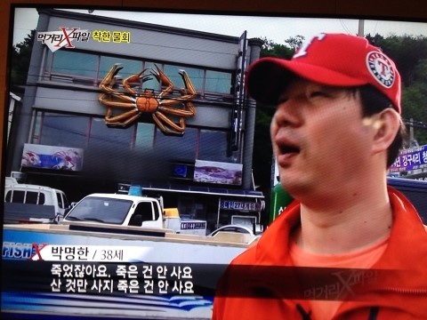 영덕물회 이미지