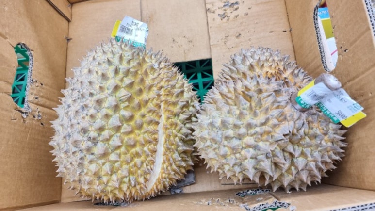 백과아시아마트 이미지