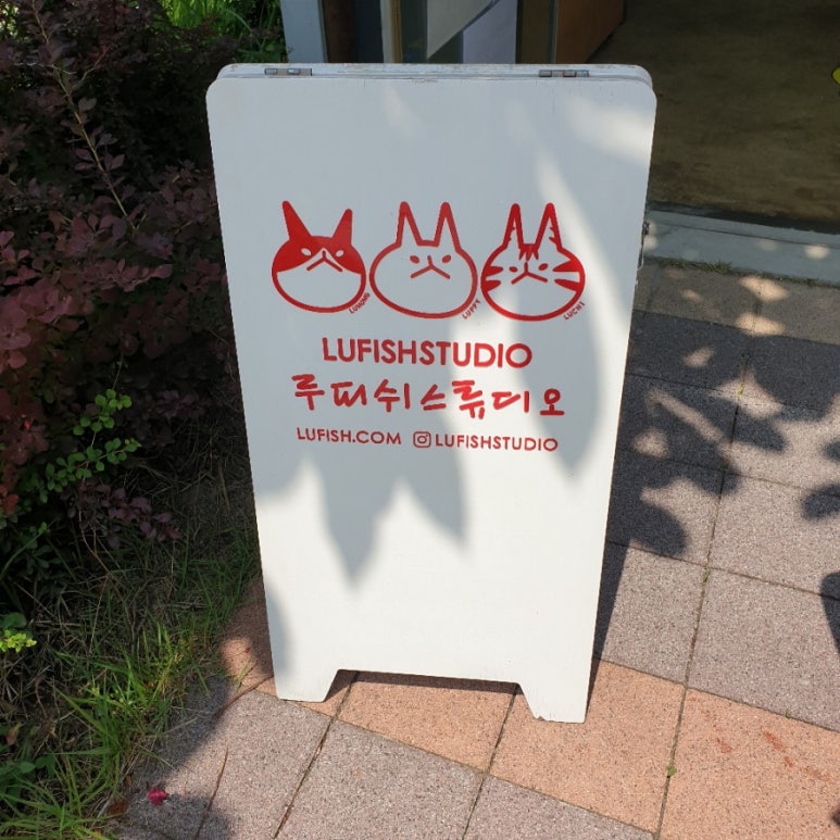 루피쉬스튜디오 이미지
