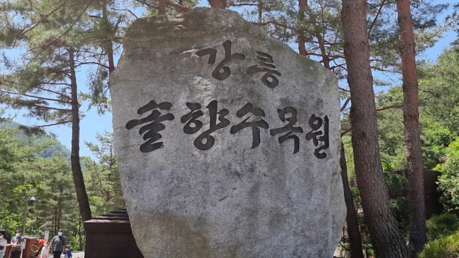 강릉솔향도시락 이미지
