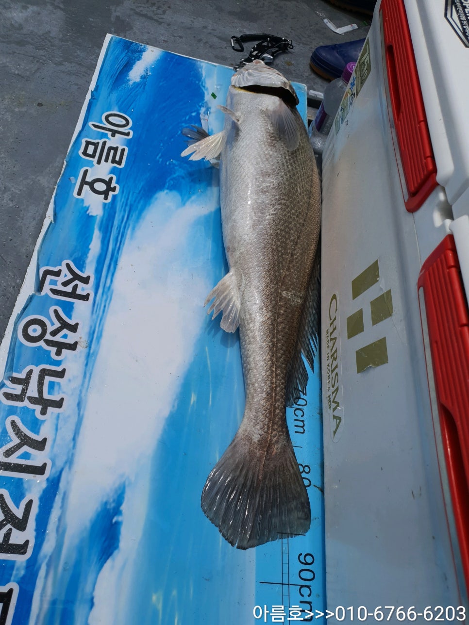 아름호 이미지