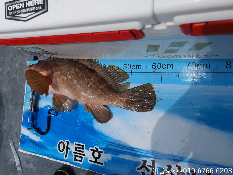 아름호 이미지