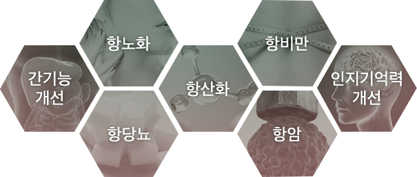 열매식품 이미지