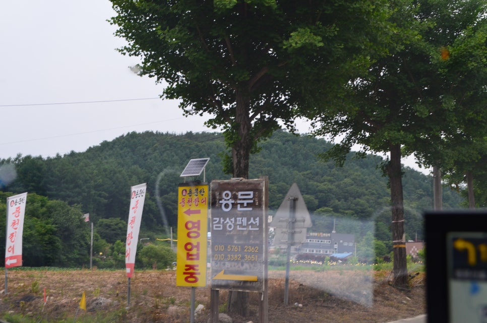 용문감성펜션 이미지