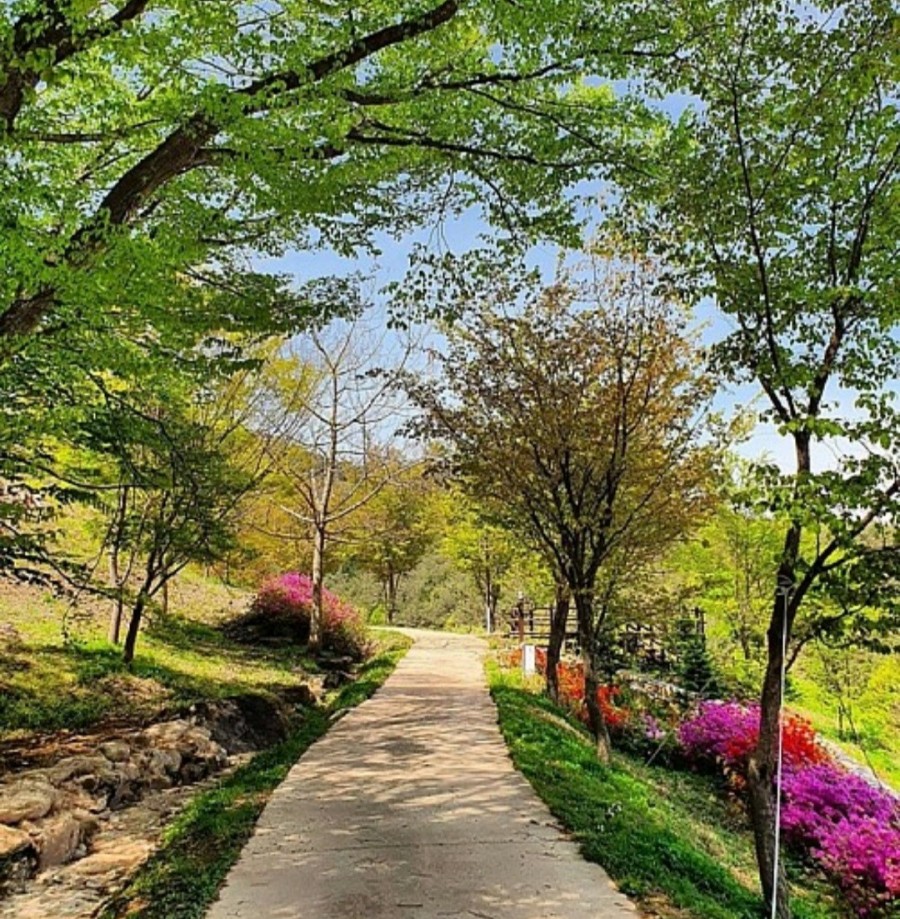 지리산정원 유아숲체험원 이미지