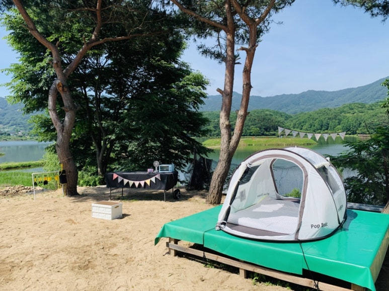 화천 아스파라거스 농장 이미지