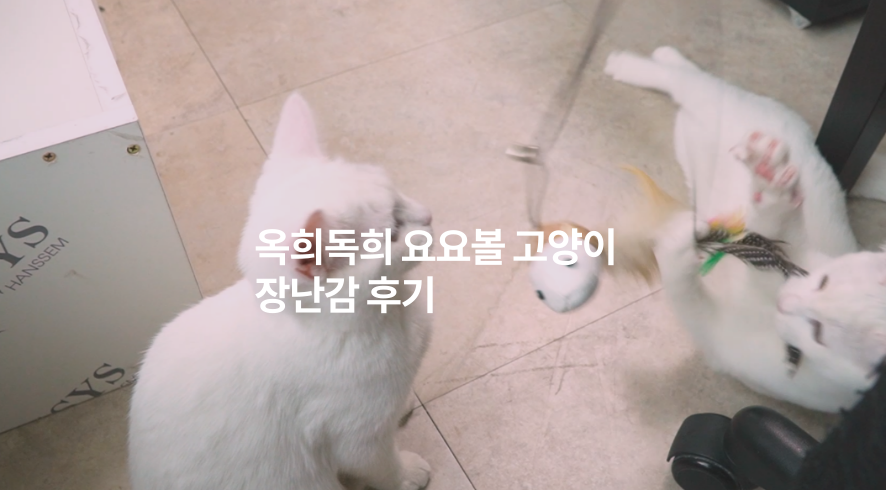 옥희시스템 이미지