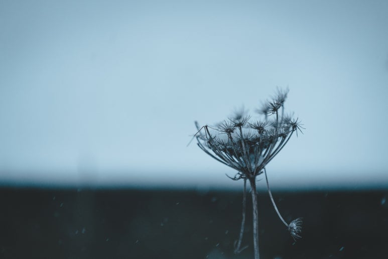 바람쐬다 이미지