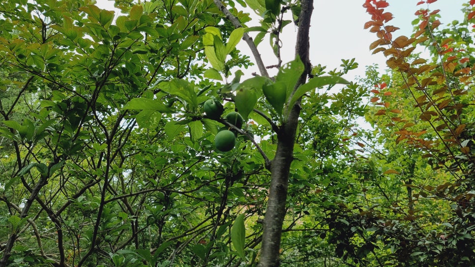 솔참도예공방 이미지
