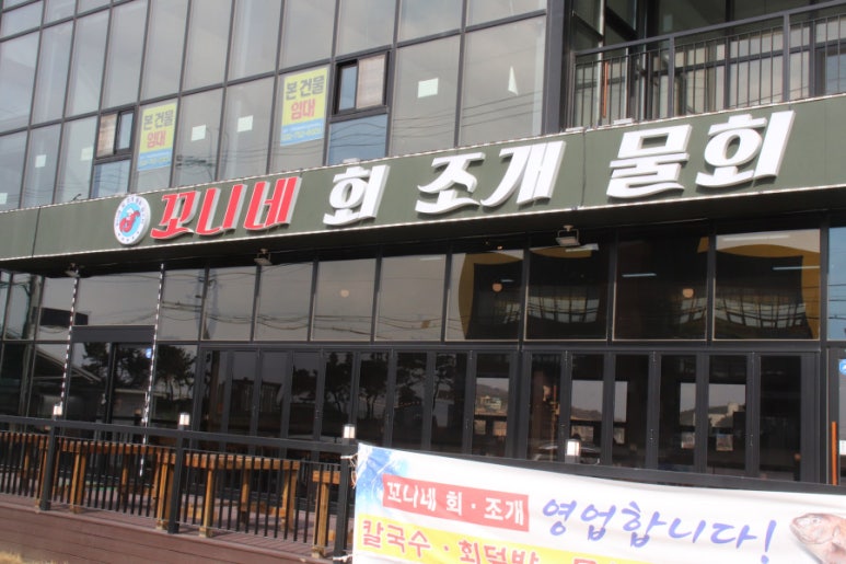 꼬니네회조개 이미지