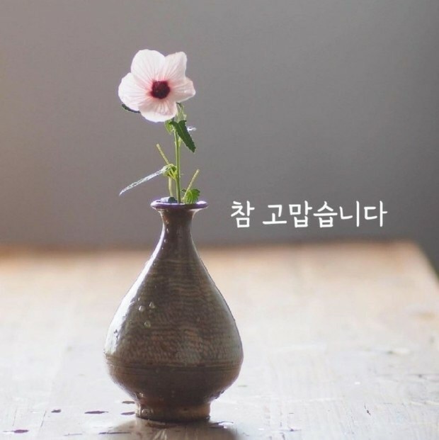 인셀덤 인천대리점 이미지