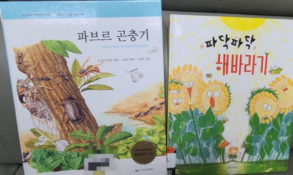 한**-2 이미지