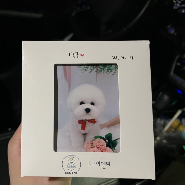 우리이엔티 이미지