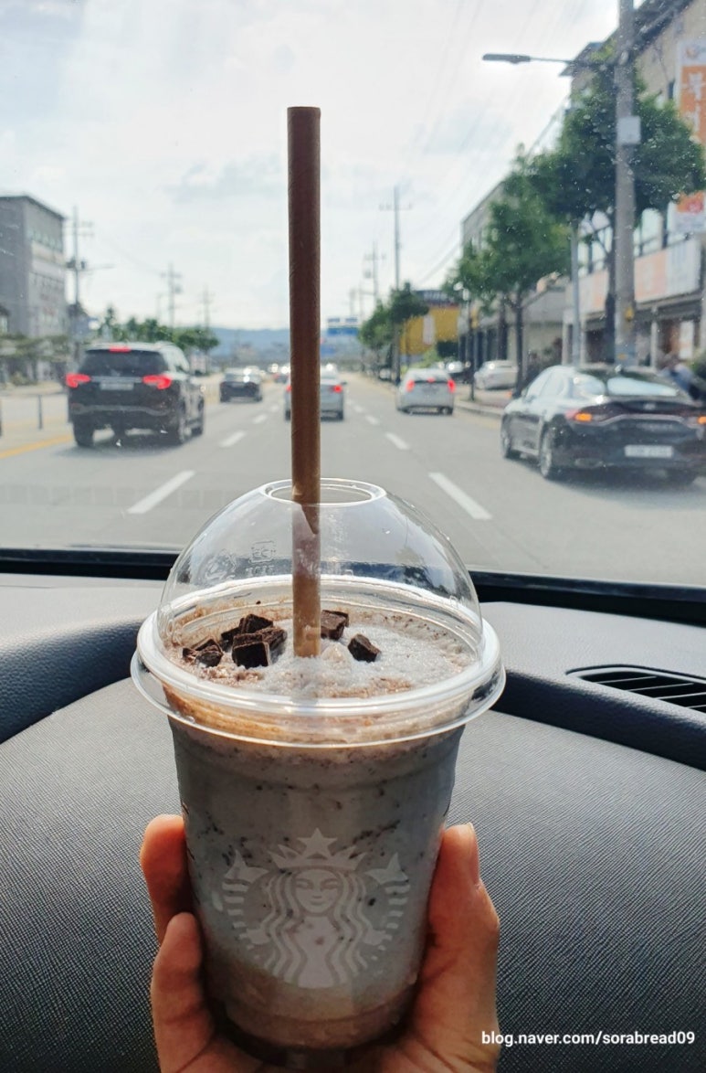민트초코충주 이미지