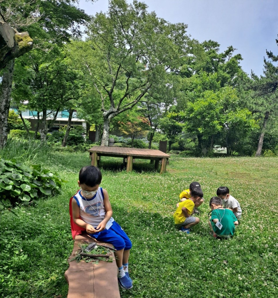 한라생태숲 유아숲체험원 이미지