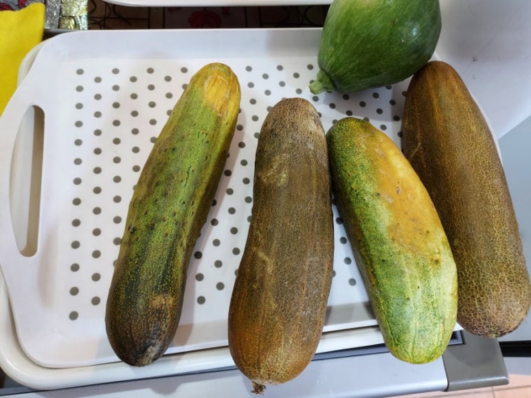 바람난 임금님 쌍화탕 이미지