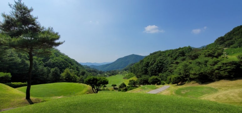 달봉이네 이미지