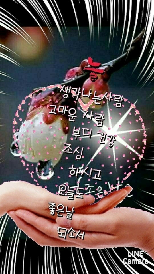 천안명물호두과자점 이미지