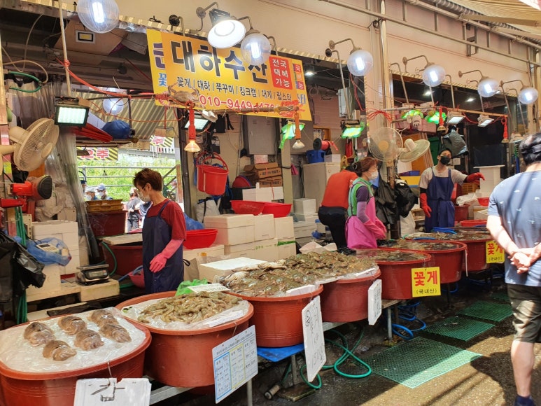 순복대하 이미지