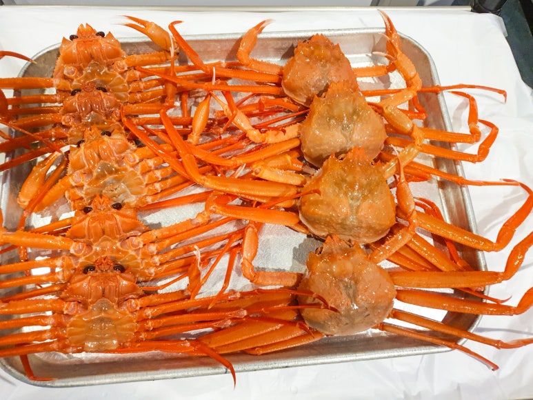 독도꽃새우 이미지
