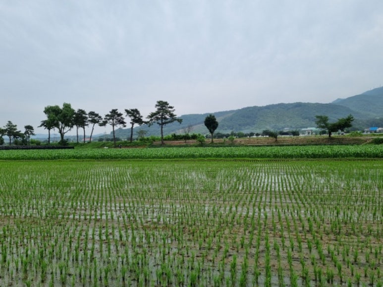 충주송암그림책마을 이미지