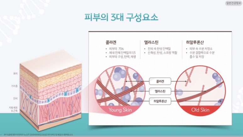 스킨이너뷰티 이미지