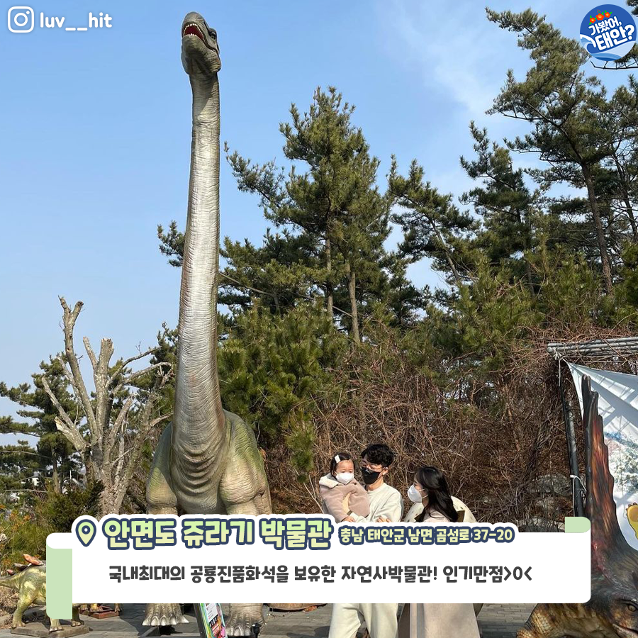 알티아노 이미지