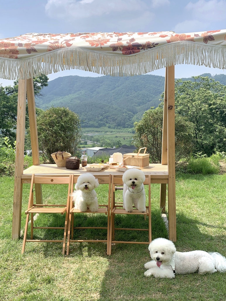 카페여가 이미지