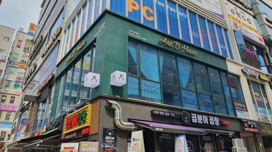그린헤어아트 이미지